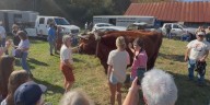 Blue Ridge Folklife Festival returns in Ferrum