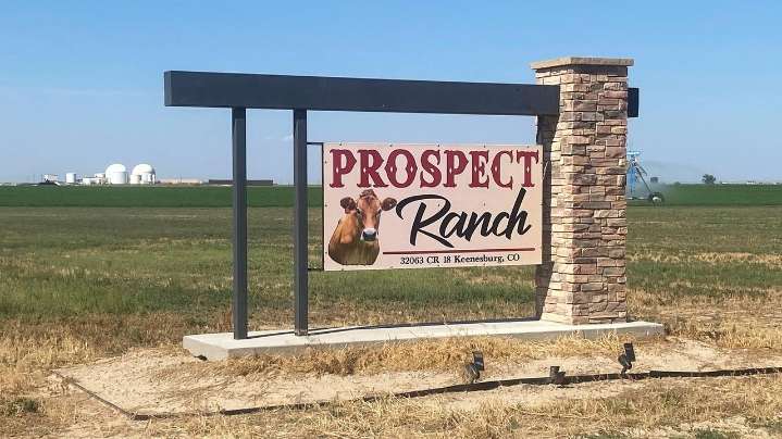 Coroner's report on 6 deaths at Colorado dairy points to toxic gas exposure