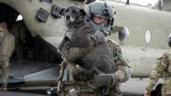 Dog evacuations continue from Western Alaska villages hit hard by remnants of Typhoon Halong