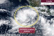Tormenta tropical “Priscilla” se forma en el Pacífico; provocará lluvias fuertes en Jalisco