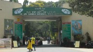 Mumbai News: 'Save SGNP' Movement Gains Momentum Online As Citizens, Activists And Adivasis Unite Against Draft Master Plan