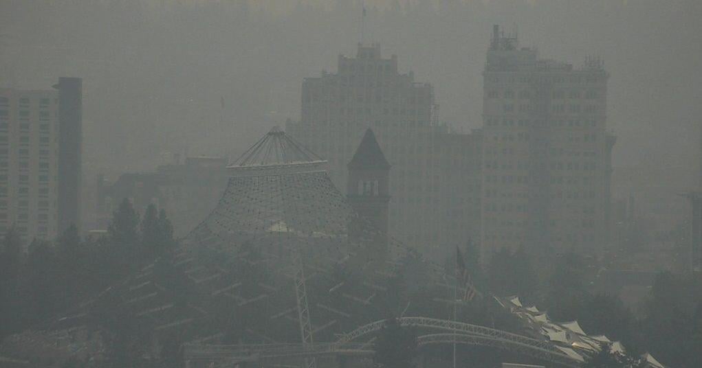 UW Study: Wildfire smoke impacts sperm quality