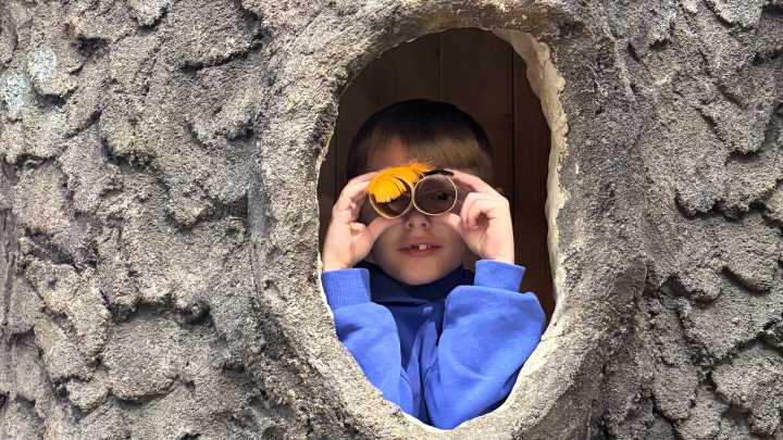 What to know about the Schiele Museum's new exhibit in Gastonia, NC