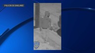 Buscan a 2 sospechosos de doble homicidio en Oakland – Telemundo Area de la Bahía 48