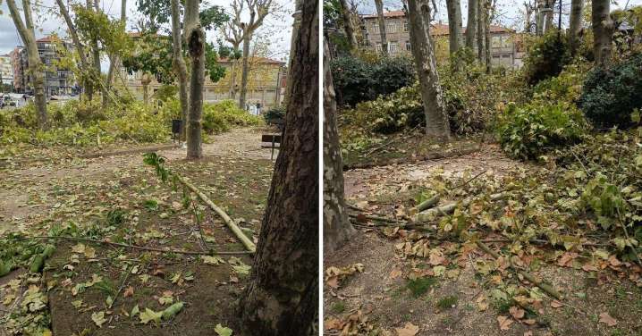 Cronista local | Las denuncias de los vecinos de Ourense hoy, domingo, 12 de octubre