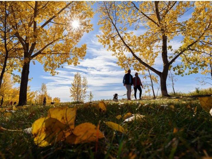 Calgary Walks 65 and 66 – Jackrabbit Trail and Weaselhead Flats Park