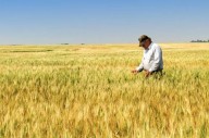 Data from Farm Stress Line shows slightly less calls in 2025
