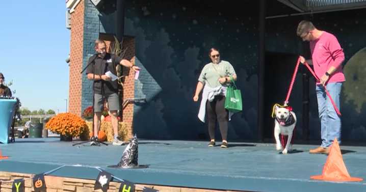 Lexington Humane Society hosts annual Bark Bash Halloween event