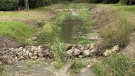 El nacimiento del Riu Sants vuelve a brotar en l'Alcúdia de Crespins tras las lluvias