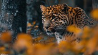 Animales en peligro de extinción en 2025: especies más amenazadas