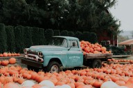 Discover Why This Hudson Valley Pumpkin Patch Ranks Among America’s Best