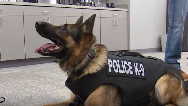 K-9 officer with Florence Police Department receives special bulletproof vest