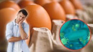Inician retiro urgente de paquetes de huevo de todas las tiendas; están contaminados con salmonela