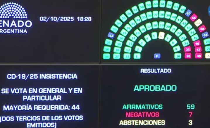Con más de dos tercios, el Senado rechazó definitivamente el veto a la Ley de Emergencia Pediátrica