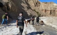 Qué hizo el perro buscador al oler las prendas de los jubilados desaparecidos en Chubut
