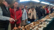 Éxito de público en las 34 jornadas micológicas de Ayerbe
