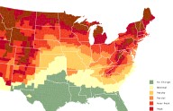 Next week is peak leaf-watching season in the Smoky Mountains