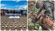 Golpe a las disidencias de Iván Mordisco: Fuerzas Militares neutralizaron 4 integrantes y capturaron otros 4 en el sur del país