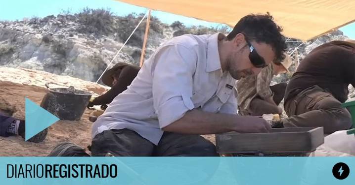 Reviví la histórica transmisión del CONICET que mostró "en vivo y en directo" la extracción de un fósil de dinosaurio