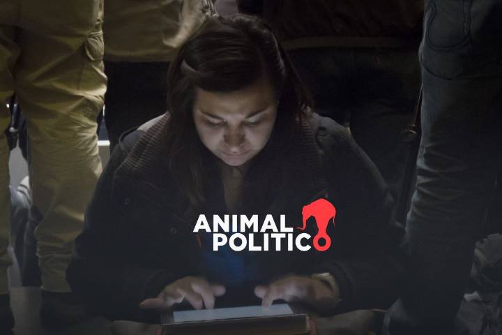 Los libros, a Tiktok, Instagram y Facebook: el Senado aprueba fomentar la lectura con influencers