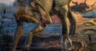 Wyoming dinosaur 'mummies' reveal a surprise: Hoofed feet