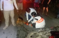 Tres lesionados en accidente de motocicleta
