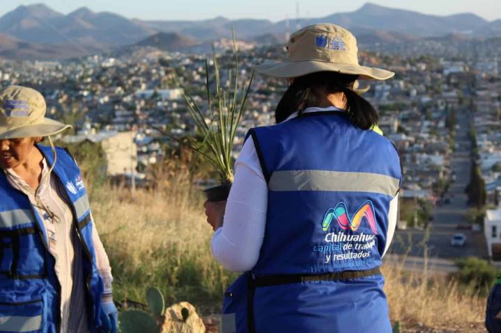 Ha reforzado Gobierno Municipal acciones por el medio ambiente en últimos cuatro meses