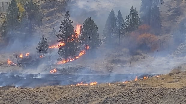 One arrested after fire breaks out in Knox Mountain Park in Kelowna, B.C.