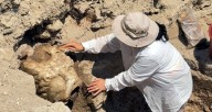 Lion's Head Spout Found In Ancient Turkish Wine Workshop