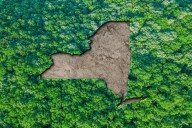 Hochul to appeal court ordered compliance with state climate law