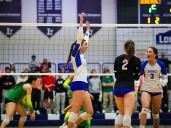 Anthony Wayne volleyball sweeps Clay to claim Division II district title