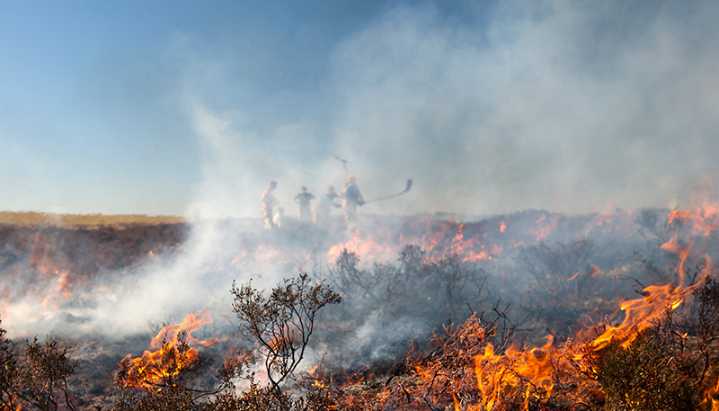 Labour's class war on moorland