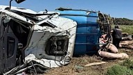 Un camión que llevaba cerdos volcó en Chacabuco y los vecinos se robaron a los animales
