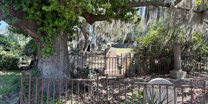 Where the dead still speak: The living legacy of Charleston’s Magnolia Cemetery