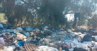 Predio ubicado en Soledad es usado como basurero