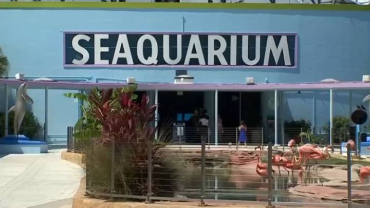 Miami Seaquarium closes its door after being in business for 70 years