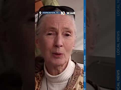 Jane Goodall spoke about parrot care in 2008 visit to Rhode Island