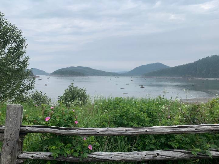 I visited a beautiful region in Canada with incredible waterfront sunsets and fresh seafood. It's a true local gem.