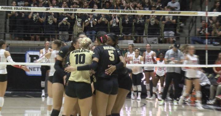 Purdue Volleyball players win Big Ten Weekly Awards.