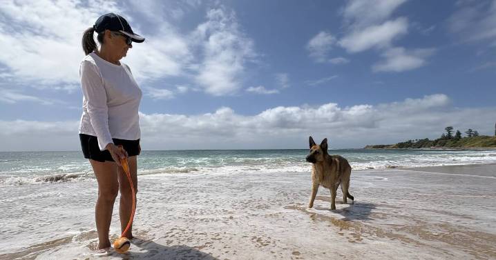 Popular Wollongong dog beach faces new council restrictions.