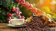 Día del Café: el reto de conquistar el mercado local e internacional [INFORME]