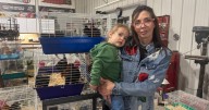 Jefferson poultry show canceled over bird flu; exhibitors call it 'huge blow'