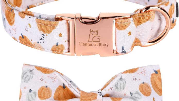 Costume-Averse Pets? These Halloween Collars Bring the Vibes Without the Drama — & Prices Start at Just $7