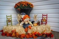 What's open in Edmonton this Thanksgiving long weekend