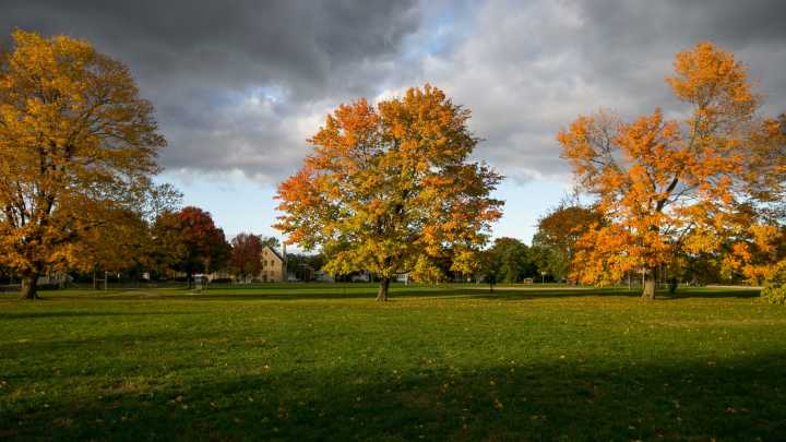 Peak times to see fall colors in Illinois, from Rockford to Carbondale