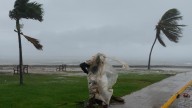 Hurricane Melissa live streams and cameras from Jamaica