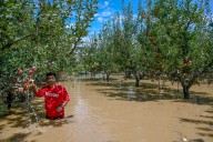 Centre releases Rs 171 cr to flood