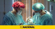 Primer trasplante a un humano vivo de un hígado de cerdo modificado genéticamente