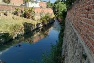 Proponen crear “islas de conectividad” para restaurar la biodiversidad urbana en Zapopan