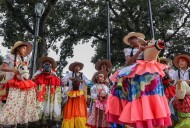 Burras y Burriquitas danzan por Naguanagua en su día nacional